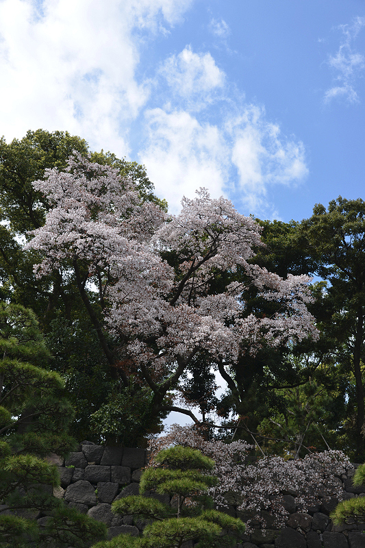 image0129