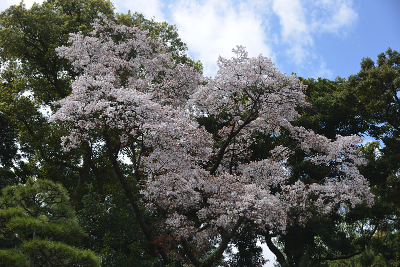 image0130
