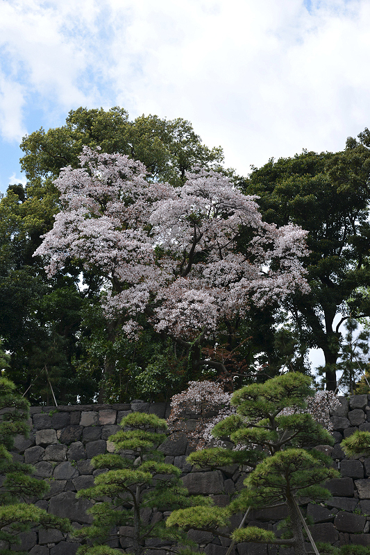 image0131