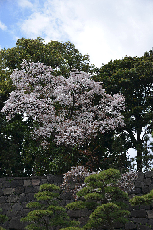 image0132