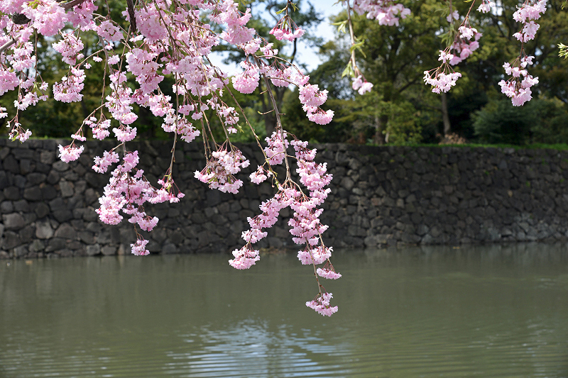 image0135