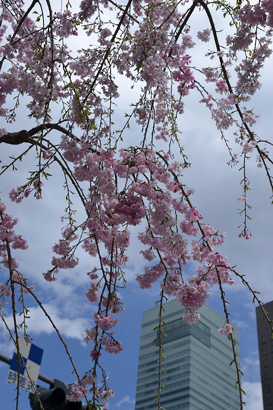 image0141