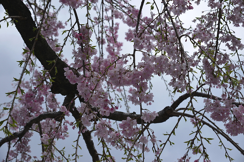 image0143
