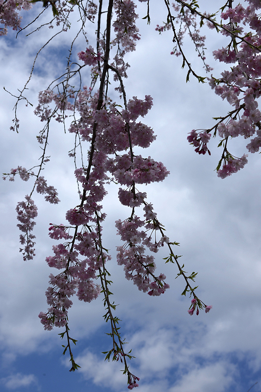 image0147