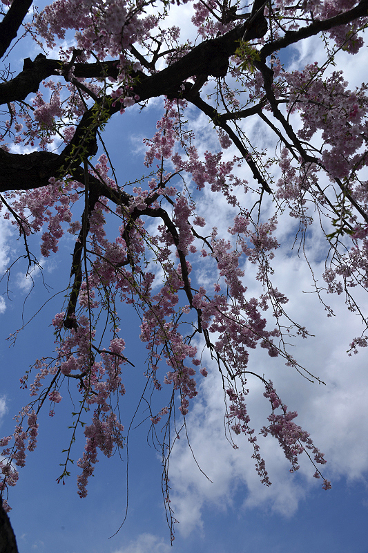image0148