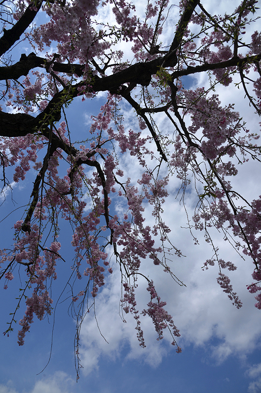 image0149