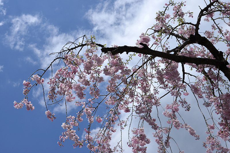 image0150