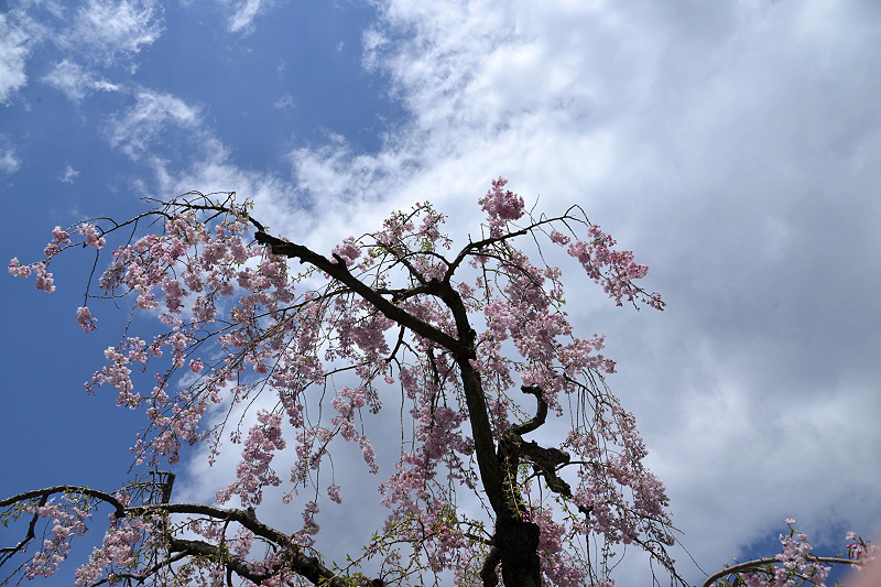 image0151