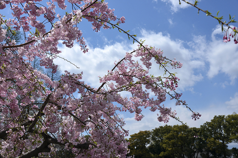 image0158