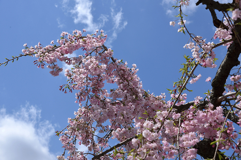image0167