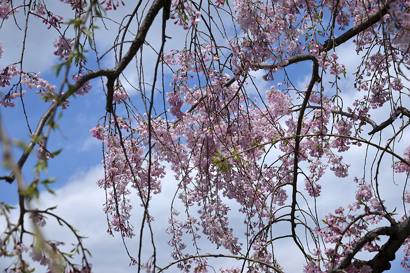 image0171