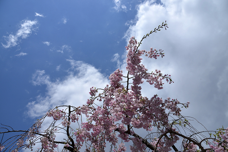 image0173