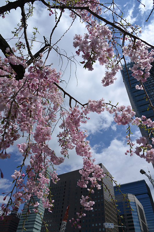image0176