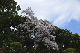 image0128