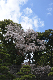 image0129