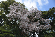 image0130