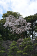 image0131