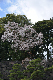 image0132