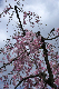 image0133