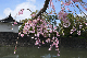 image0134