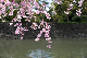 image0135