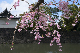 image0136