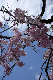 image0139