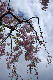 image0142