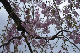 image0143
