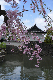 image0144