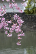 image0145