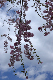 image0147