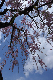 image0148