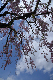 image0149