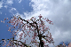 image0151