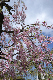 image0153
