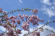 image0157