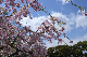 image0158