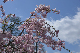 image0159