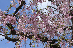 image0166