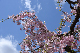 image0167
