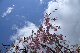 image0173