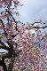 image0174