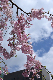 image0175