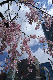 image0176