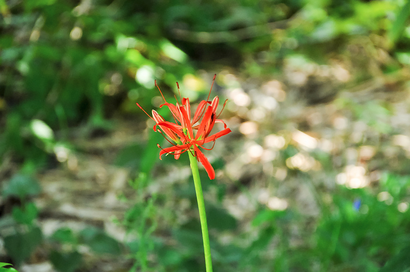 image0097