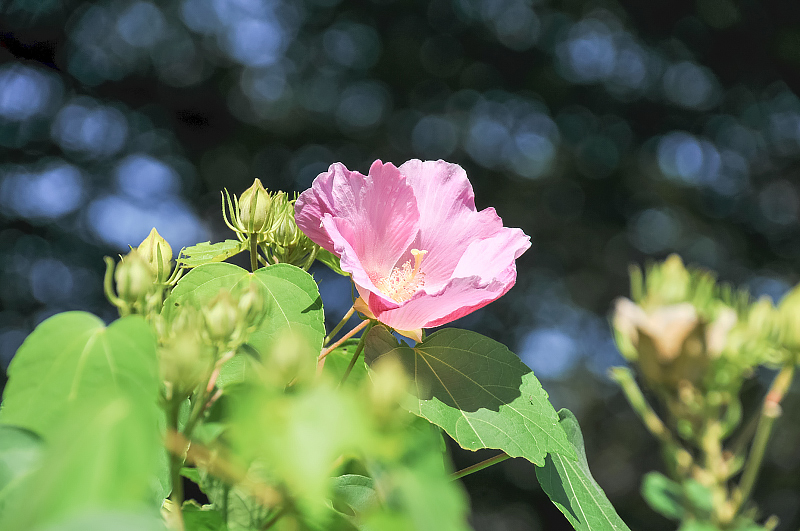 image0104