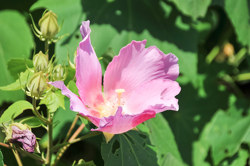 image0105