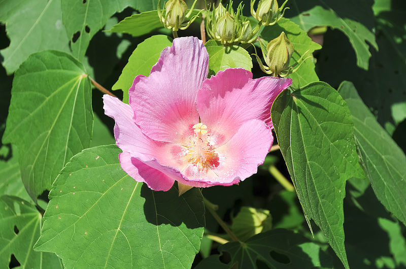 image0106