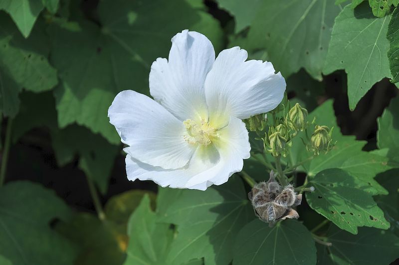image0109